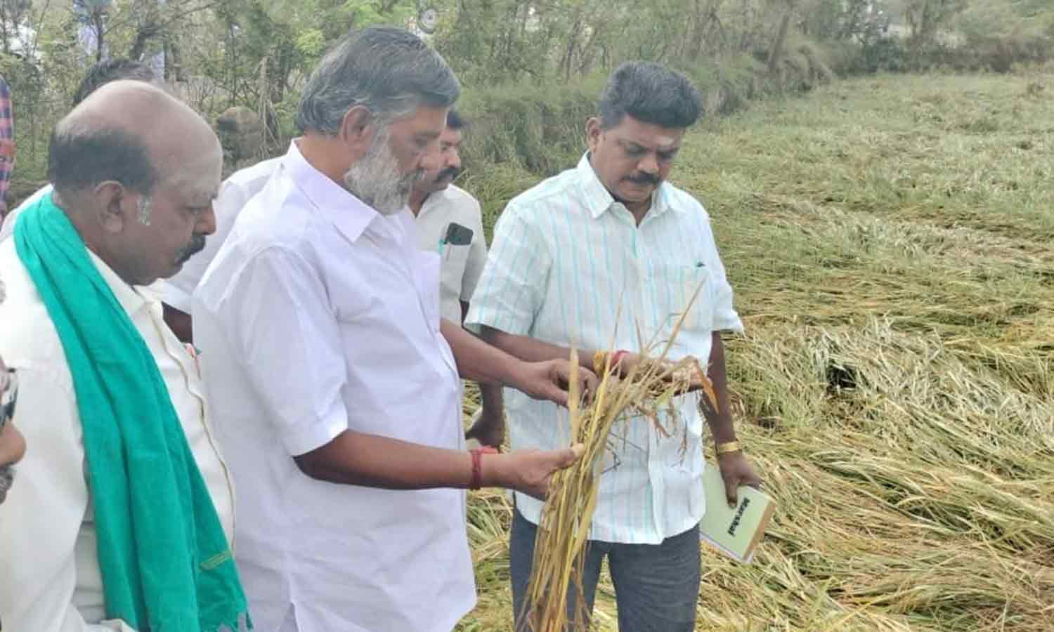 Theni Jayakumar Study In Karaikal District